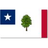 Mississippi Republic Flag Image