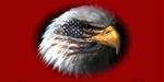 vendor-unknown License Plate American Flag w/Eagle Dark Red Background License Plates