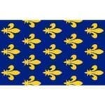 vendor-unknown Search Flags by Quality Ancient Banner of France Flag 3 X 5 ft. Standard