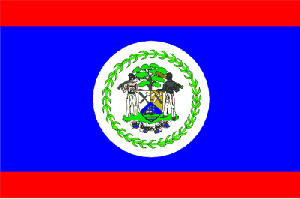 vendor-unknown Search Flags by Quality Belize Flag 3 X 5 ft. Standard