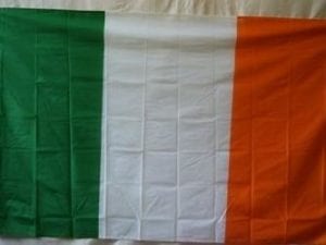 vendor-unknown Country & National Flags Ireland Knitted Nylon 5 x 8 Flag