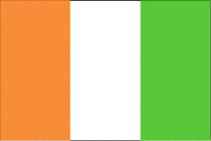 vendor-unknown Country & National Flags Ivory Coast Flag 3 X 5 ft. Standard