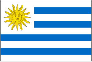 vendor-unknown Country & National Flags Uruguay Flag 4 X 6 Inch pack of 10