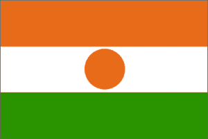 vendor-unknown Flag Niger Flag 4 X 6 inch on stick