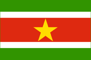 RU Flag Suriname Flag 3 X 5 ft. Standard