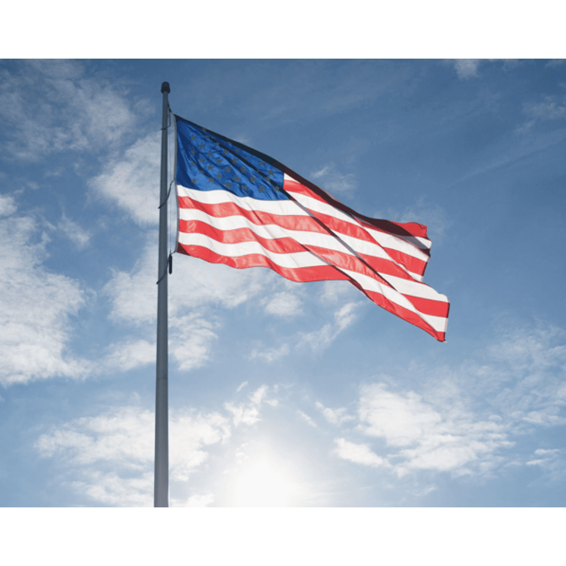 Collins/Eder Flag USA Flag-Commercial-Poly-Max Embroidered -3x5,4x6,5x8,6x10,50x80 ft (Made in America)
