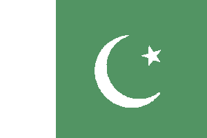 vendor-unknown Flag Pakistan Flag 4 X 6 Inch pack of 10