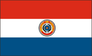 vendor-unknown Flag Paraguay Flag 3 X 5 ft. Standard