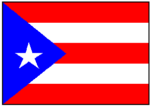 RU Flag Puerto Rico Flag 2 X 3 ft. Junior