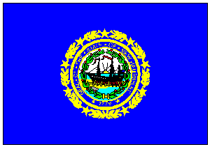 RU Flag State of New Hampshire Flag 12 x 18 inch on Stick