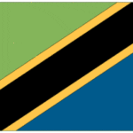 vendor-unknown Flag Tanzania Flag 2 X 3 ft.