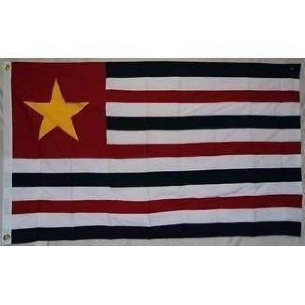 vendor-unknown Historic War Flags Louisiana Republic Cotton Flag 3 x 5 ft.