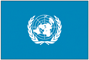 United Nations 4 x 6 ft. Nylon Dyed Flag (USA Made)