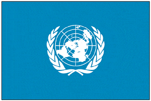 vendor-unknown International Flags United Nations UN Flag 3 X 5 ft. Standard