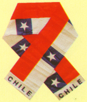 Vendor unknown Other Cool Flag Items Chile Scarf