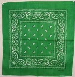 vendor-unknown Other Cool Flag Items Green Paisley Bandana
