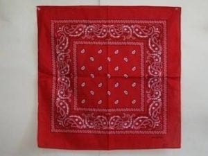 vendor-unknown Other Cool Flag Items Red Paisley Bandana