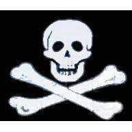 vendor-unknown Pirate Flags (Jolly Roger Flags) Jolly Roger No Patch Pirate Flag 12 x 18 inch on Stick