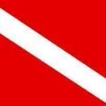 vendor-unknown Search Flags by Quality Diver Down Diving Flag 3 X 5 ft. Standard
