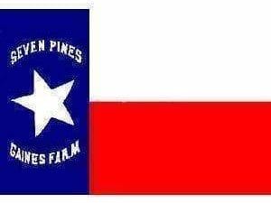 vendor-unknown Texas Flags Texas Hoods Brigade (Seven Pines) Flag 3 X 5 ft. Standard