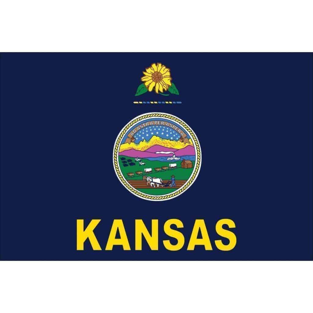 vendor-unknown US State Flags Kansas 12 x 18 Inch Nylon Dyed Flag (USA Made)