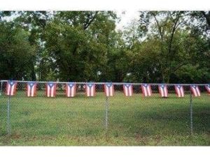 Puerto Rico 12 x 18 inch String Flags