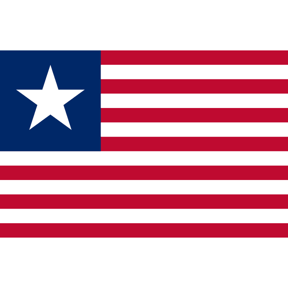 Texas Navy 1836-1839 Flag Made in USA