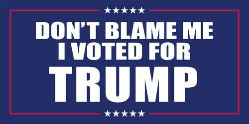3x5 Don't Blame Me I Voted for Trump Flag - Rough Tex.